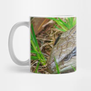 Blue Tongue Lizard enjoying the Sun! Mug